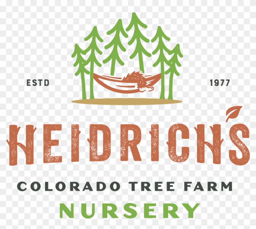 Welcome To Heidrich's Colorado Tree Farm Nursery - Canoe Clipart #304085