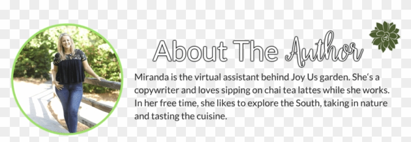 Related Post - Calligraphy Clipart