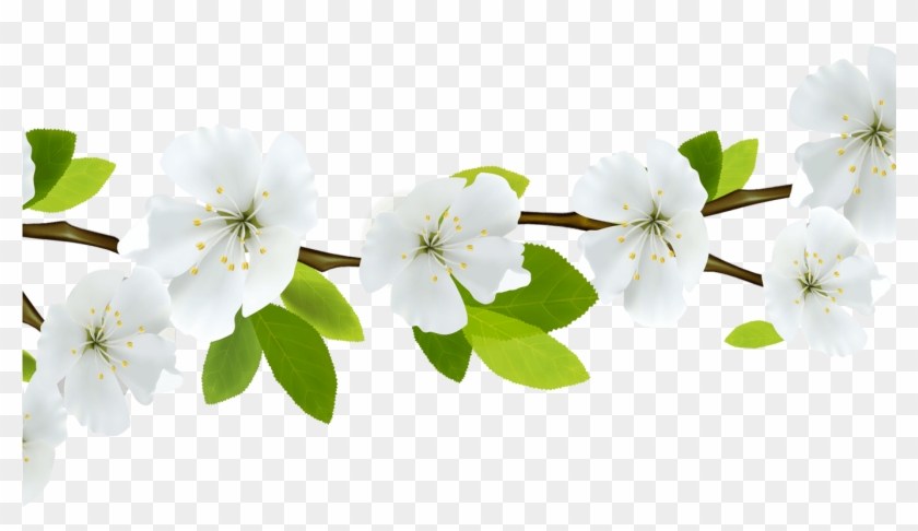 Spring Flowers Branches Transparent Png Stickpng - Transparent Background Floral Divider Clipart #305041