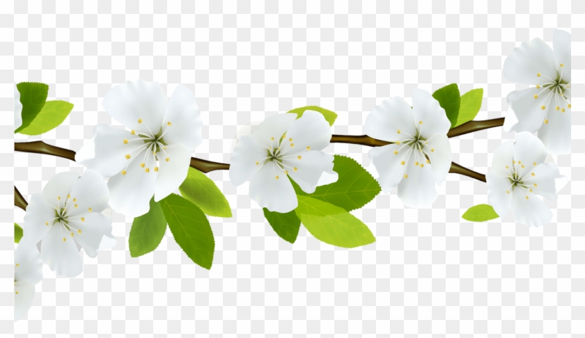 Spring Flowers Branches Transparent Png Stickpng - Transparent Background Floral Divider Clipart