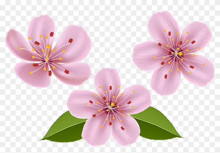 Free Png Download Spring Flowers Png Images Background - Spring Flower Clipart Transparent #305066