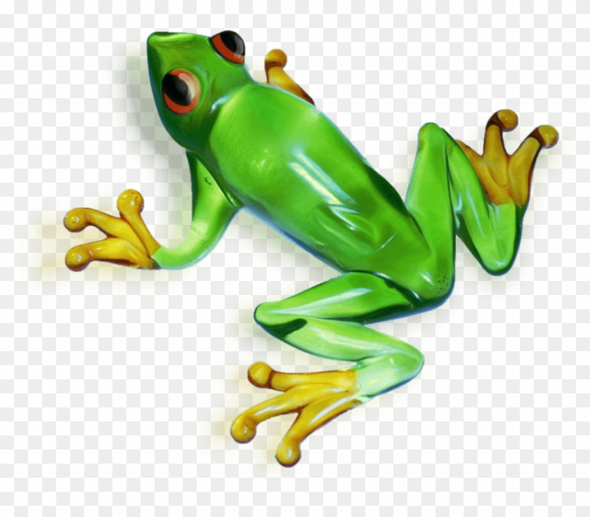 Free Png Download Frog Png Images Background Png Images - Frog Clipart #305388