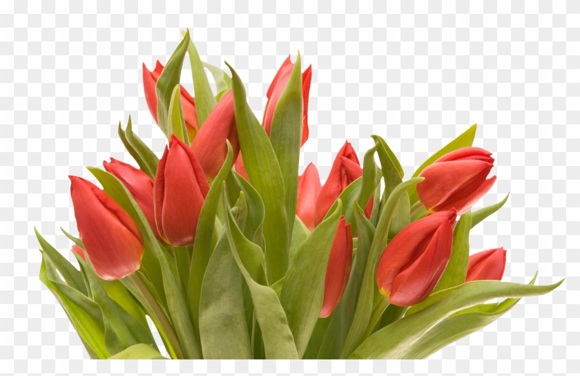 Bouquet Flowers Png - Home Light Board Design Clipart