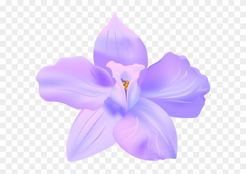 Violet Spring Flower Decorative Transparent Image - Lily Clipart