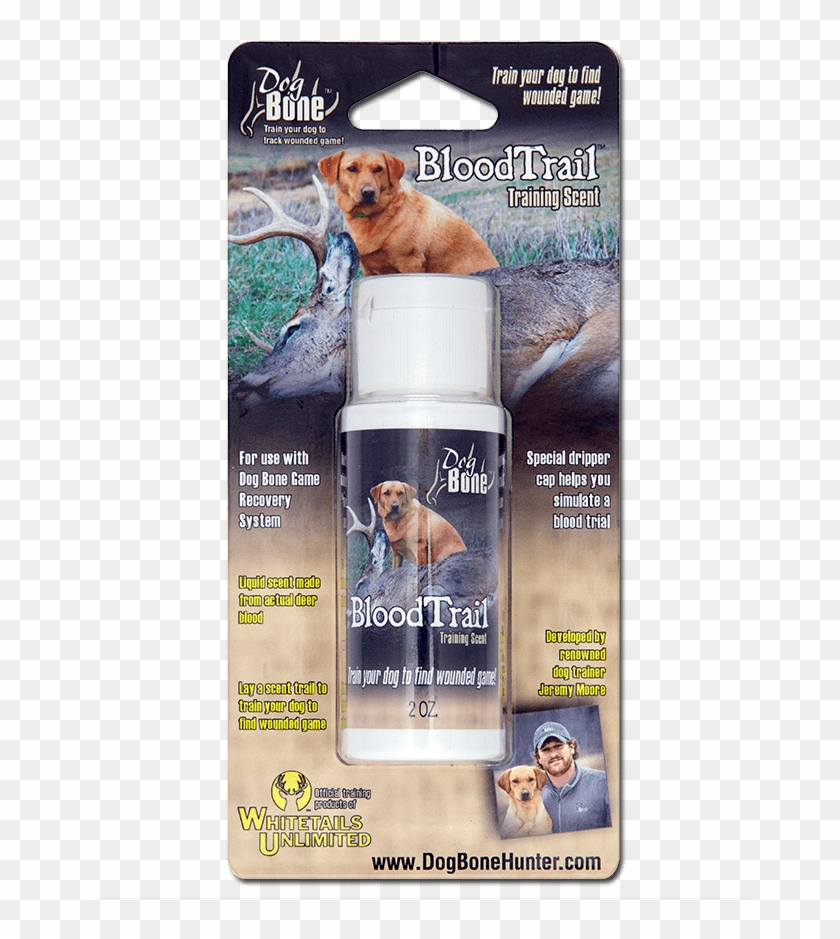 Flyer Clipart #307384