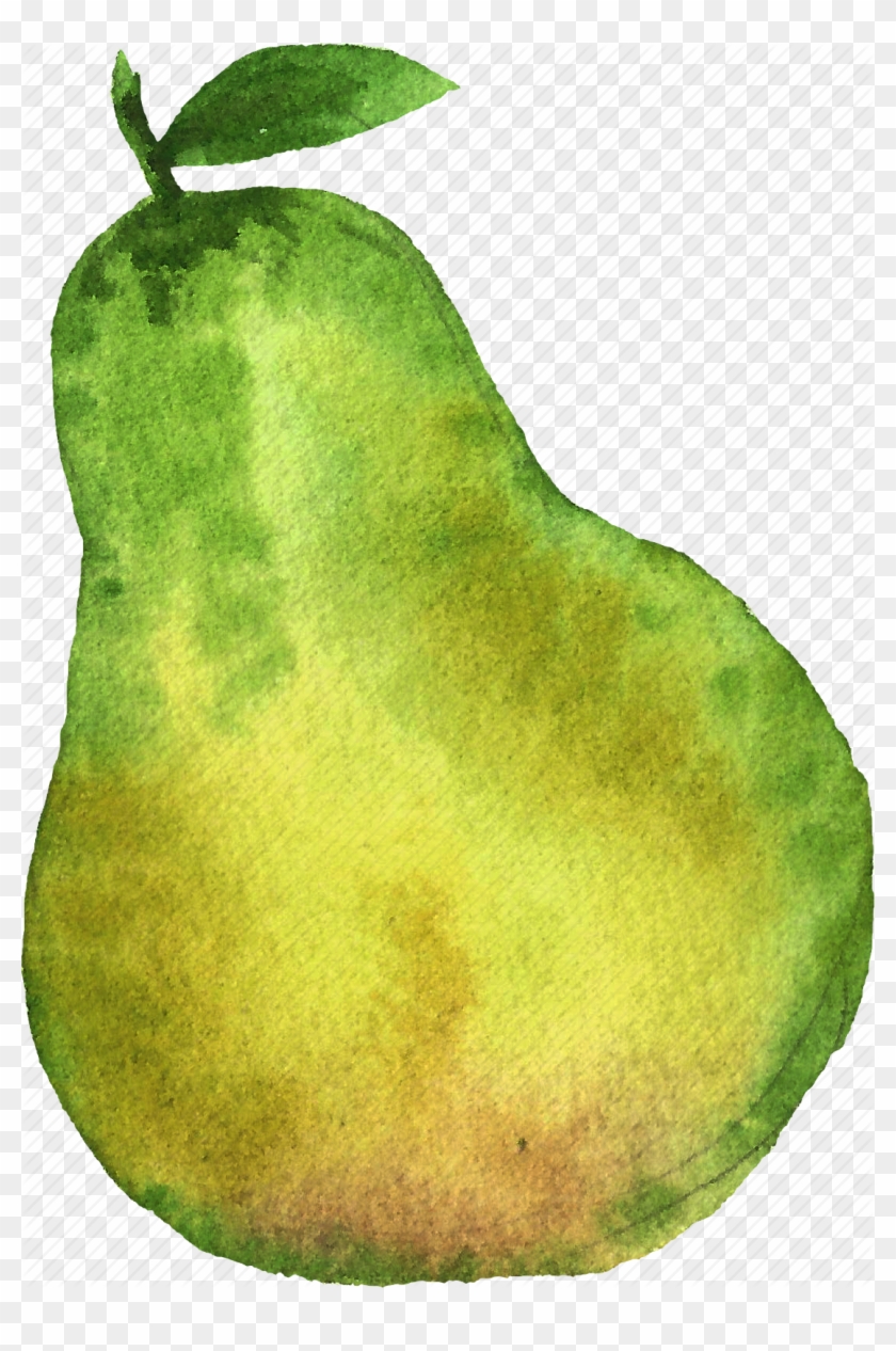 Pear Png High-quality Image - Pear Watercolor Png Clipart #307625