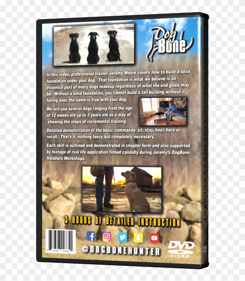 03 Foundation Dvd Back Transparent - Flyer Clipart