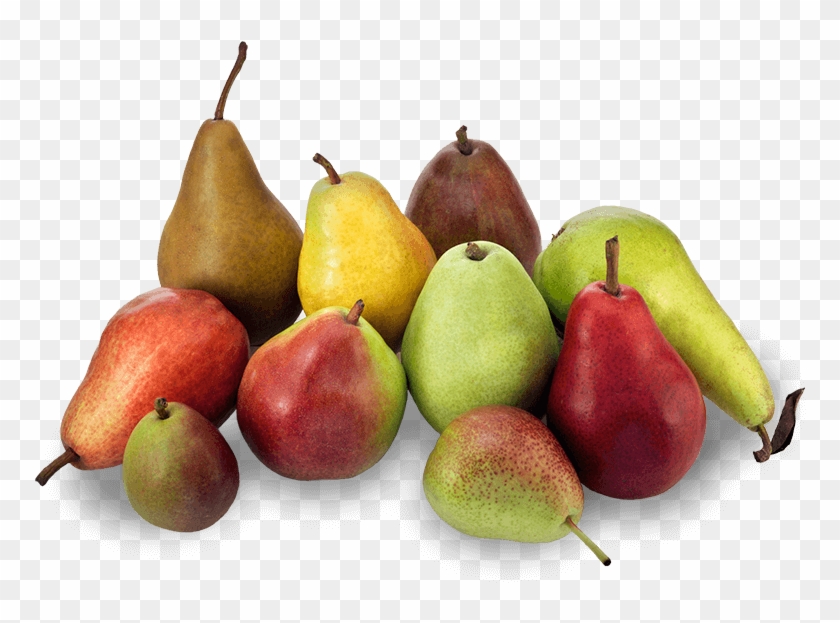 Adults Who Eat Pears Less Likely To Be Obese - Naka Pear Clipart