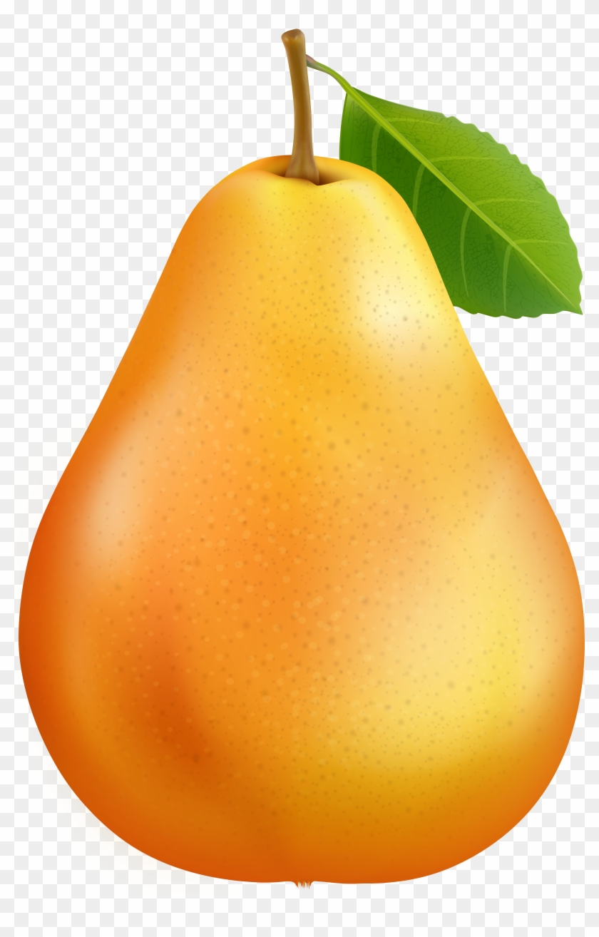 Asian Pear Clipart