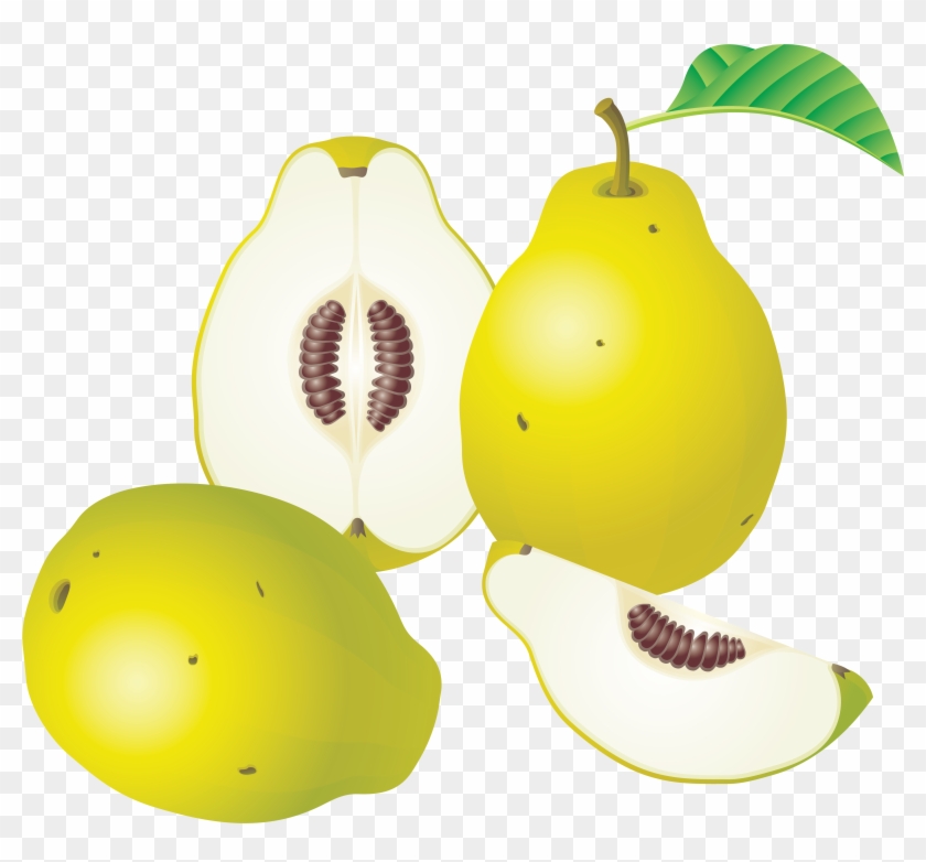 Fruit Clipart - Png Download #309239
