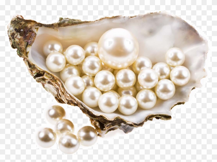Pearl Png Pic - Pearl Png Clipart #309340