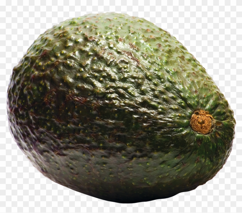 Aocado Png Image Avocado Pear, Png Photo, Cannabis - Avocado Png Clipart