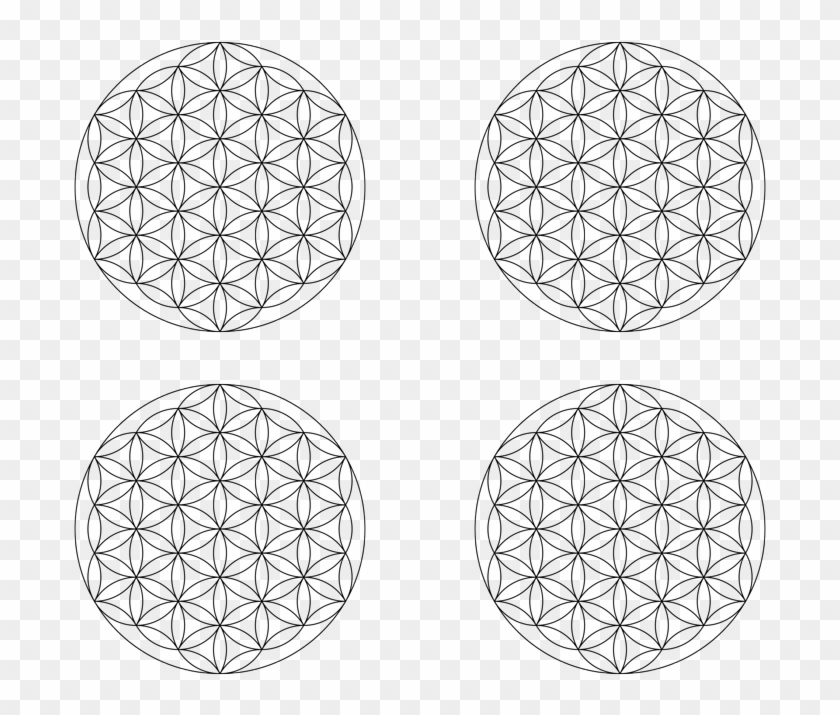 Circle Clipart #309928