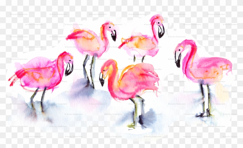 Greater Flamingo , Png Download - Watercolor Paint Clipart