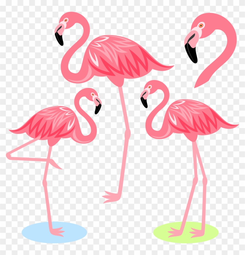 Flamingo Bird Illustration Cartoon Free Frame Clipart - Png Download
