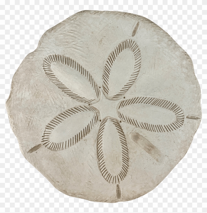 Us Know The Thrill Of Spotting A Little White, Round - Sand Dollar Clipart