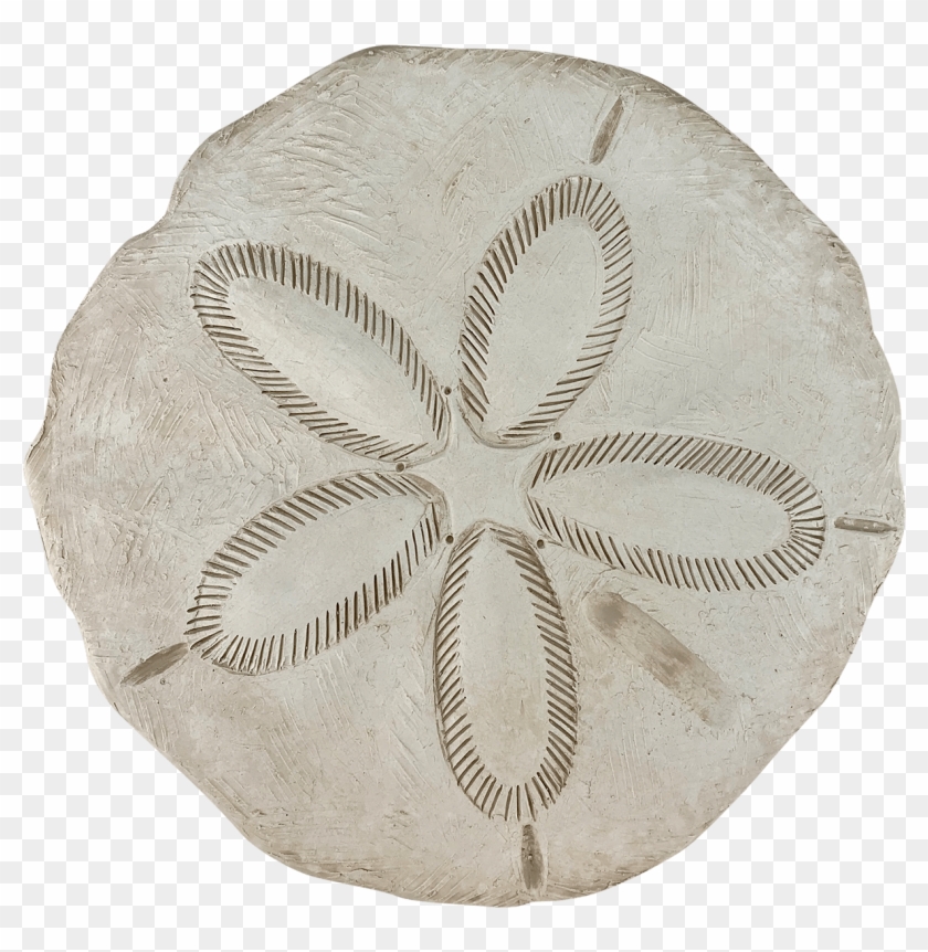 Us Know The Thrill Of Spotting A Little White, Round - Sand Dollar Clipart #3001249