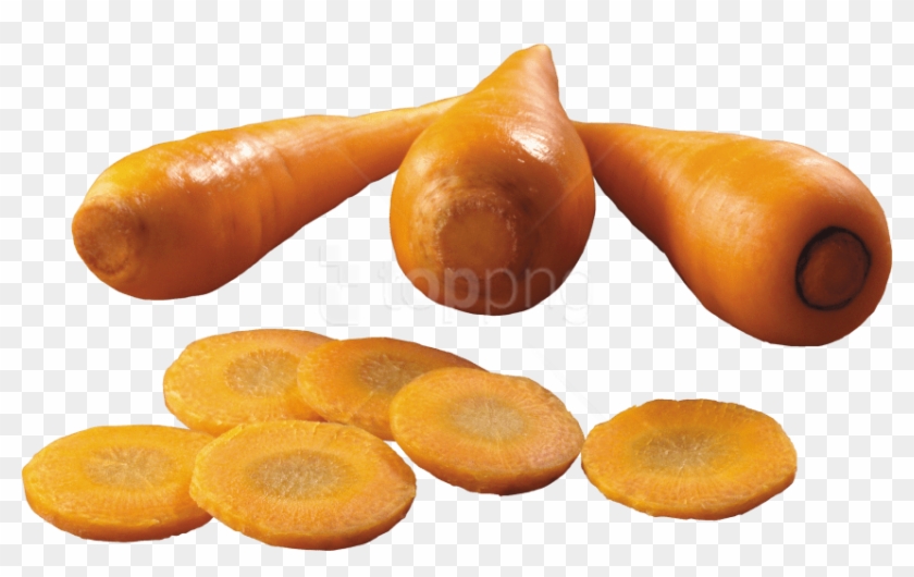 Free Png Download Carrot Png Images Background Png - Carrot Clipart