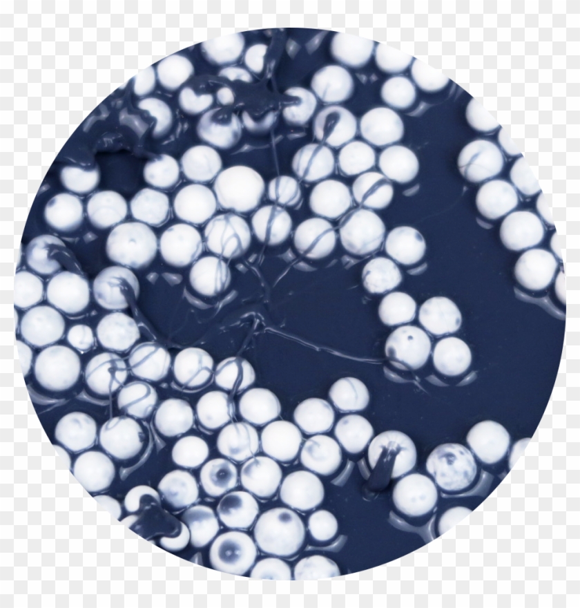 Circle Clipart #3001879