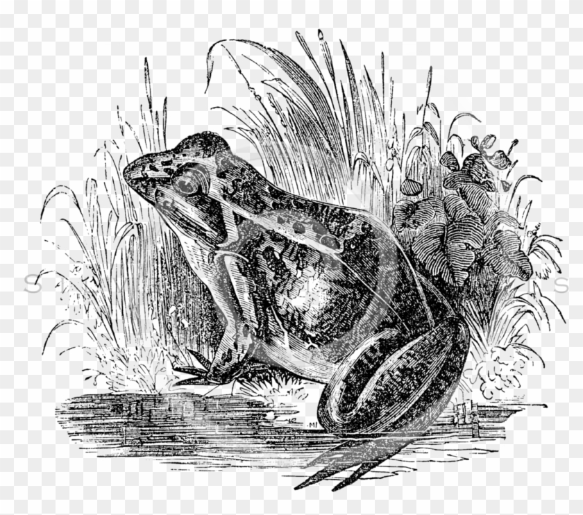 Parent Directory - Illustration Clipart