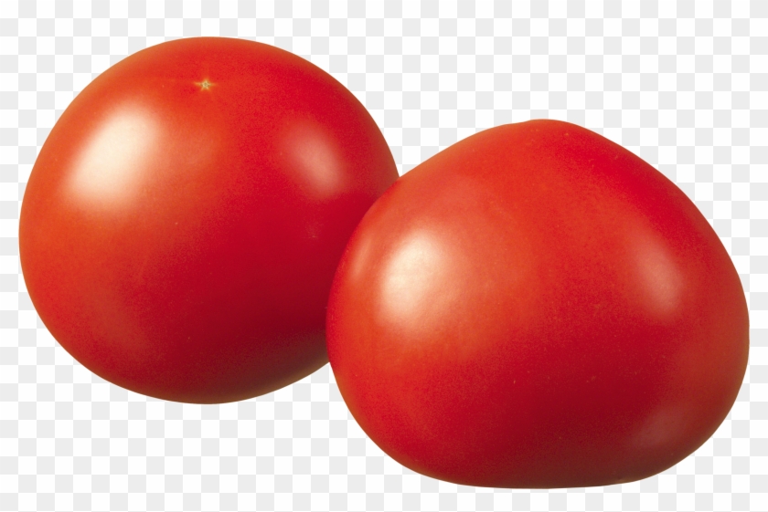 Red Tomatoes - Bush Tomato Clipart #3002770