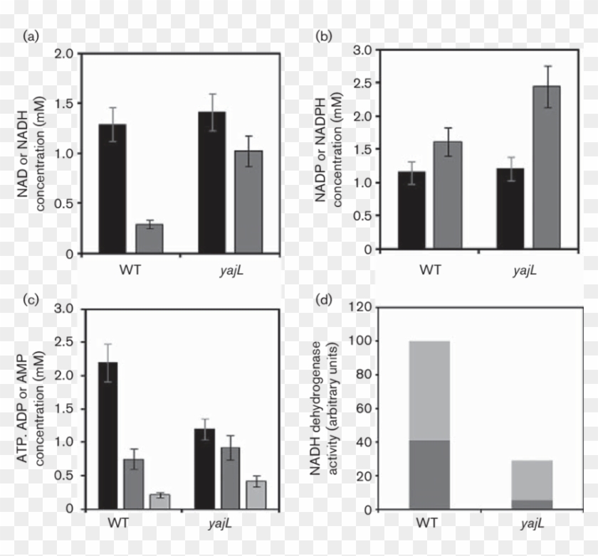 Nucleotide Pools And Nadh Dehydrogenase Activities - Bod Graphs Clipart