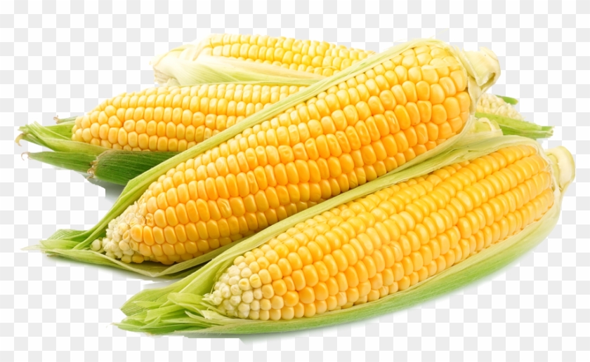 Corn Clipart #3003707