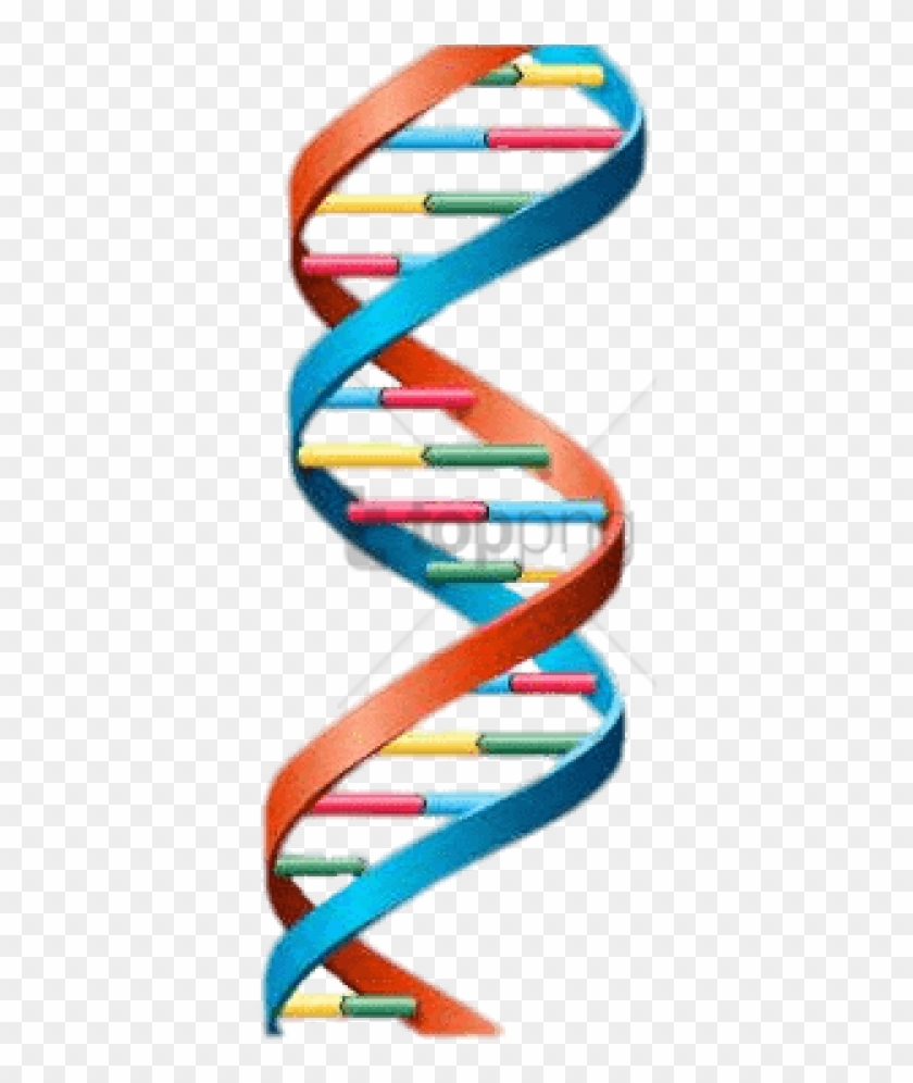 Free Png Dna String Multlour Png Image With Transparent - Dna Helix Clipart #3003944