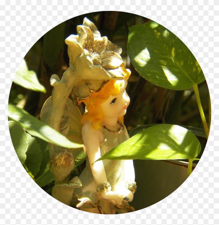 Garden Clipart #3003946