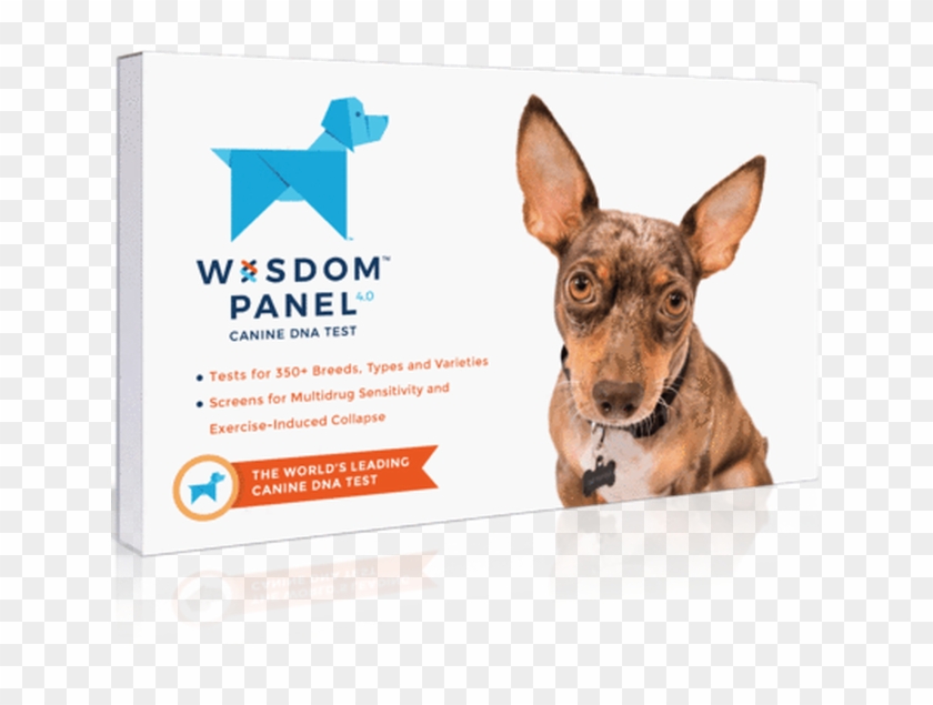 Wisdom Panel Dog Dna Test Clipart #3004008