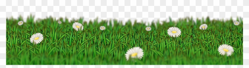 Meadow Grass Green Flower Daisy Png Image - حشائش Png Clipart