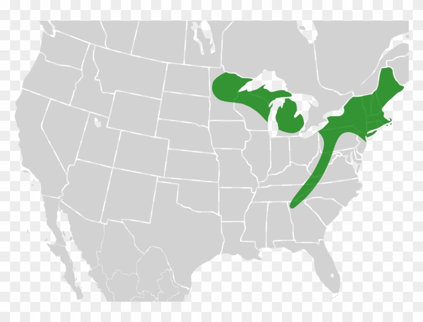 Map Google Ozarks Maps Darter Highland Clipart - Ozark Mountains On A Map - Png Download