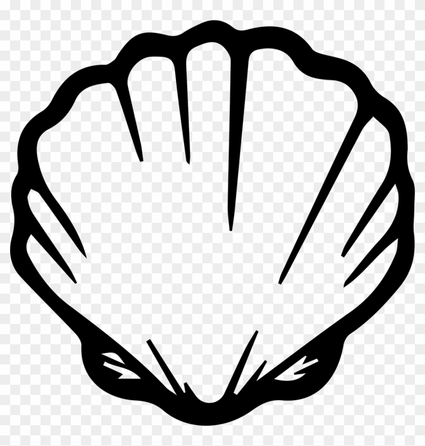 Seashell Shell Ocean Beach Sea Png Image - Black And White Seashells Clipart Transparent Png