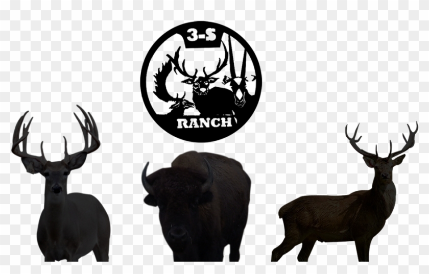 Whitetail Deer Png Clipart