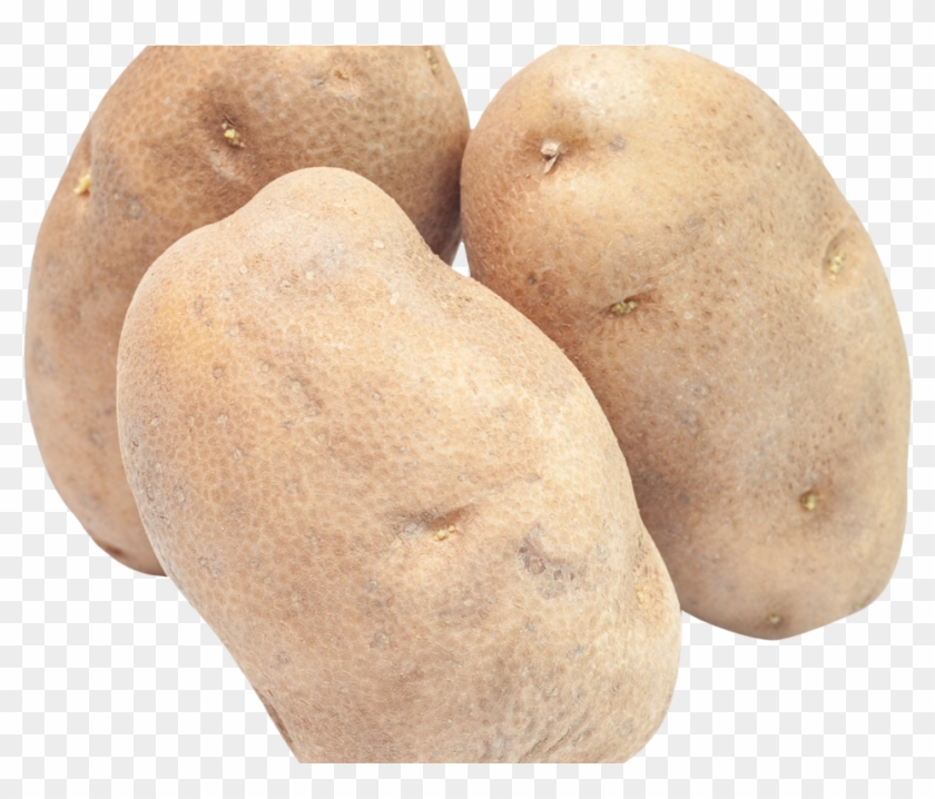 Potato Png Image - Transparent Background Potatoes Png Clipart #3008970