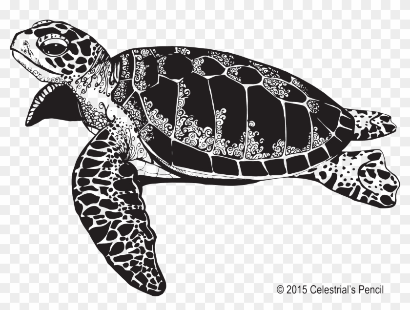 Sea Turtle Illustration - Free Sea Turtle Clipart Black And White - Png Download #3009038