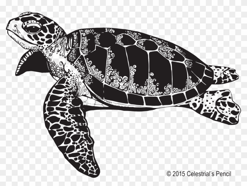 Sea Turtle Illustration - Free Sea Turtle Clipart Black And White - Png Download