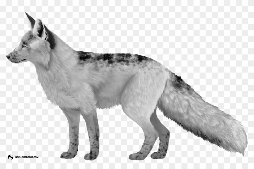 Georgian White-colored Red Fox - White Arctic Faux Foxes Png Clipart