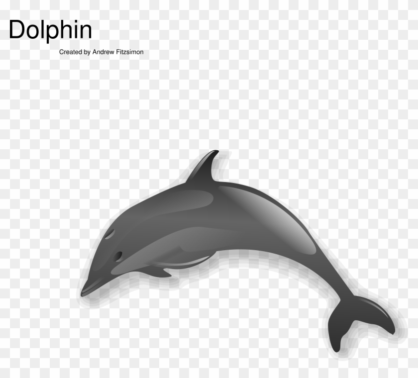 Png Image - Dolphin Clip Art Transparent Png #3009927