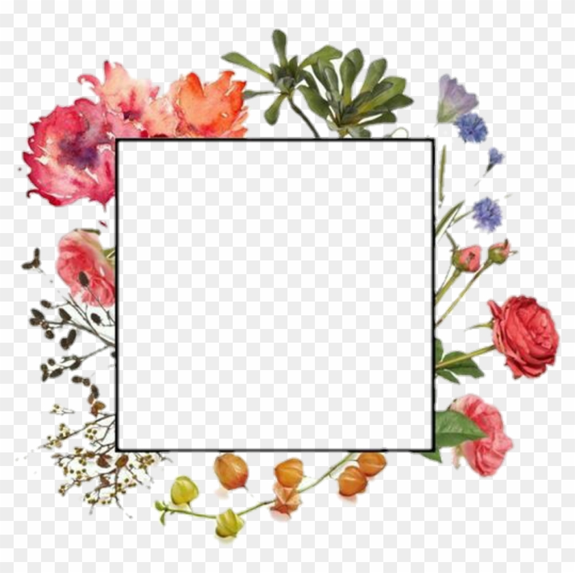 Margen De Flores Png , Png Download - กรอบ ดอกไม้ สี นำ้ Clipart