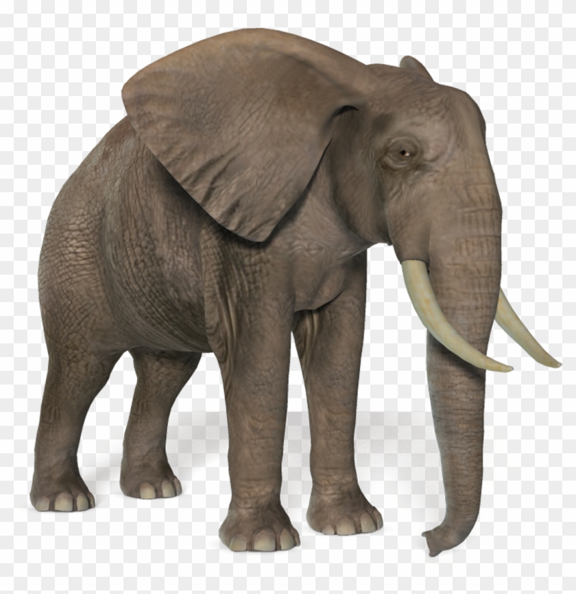 Elephants Png Clipart #3012267