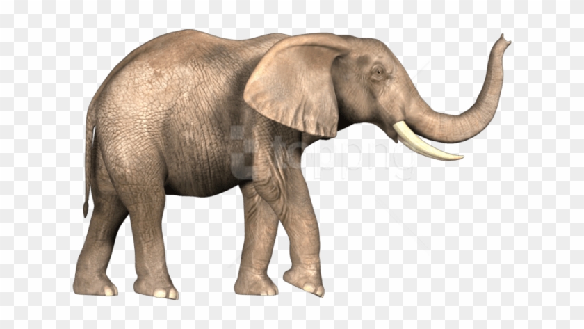 Bahubali Elephant Png Clipart #3012306