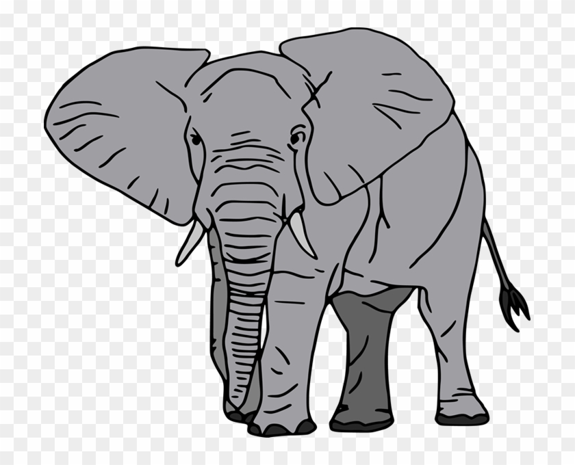 Sm-elephant Https - African Forest Elephant Cartoon Clipart