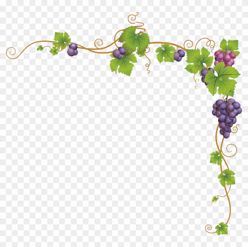 Church Service Child Dendrite Grape Vines Frame - Marco De Uvas Png Clipart