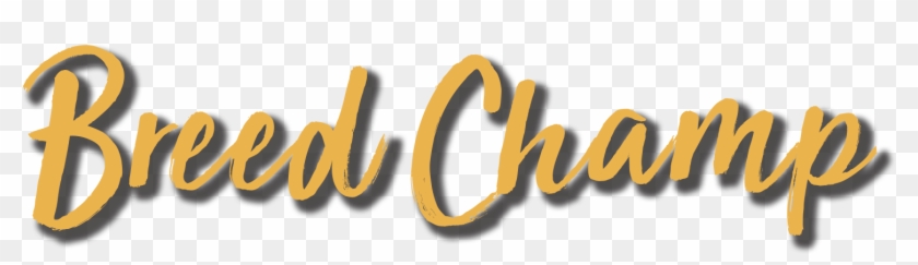 Circle Checkmark 30 Sep 2018 - Calligraphy Clipart #3013335