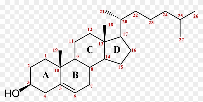 Collana Thug Life Png - Pregnenolone Sulfate Clipart #3013612