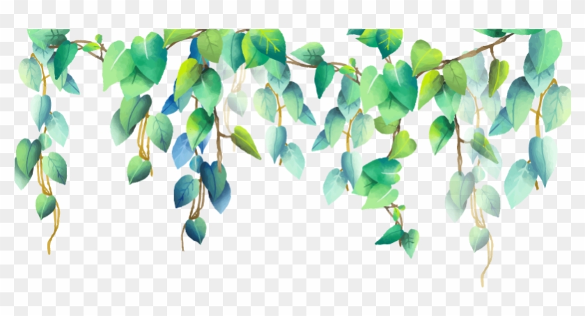 #green #plant #plants #png #pngstickers - Wild Leaves Border Png Clipart