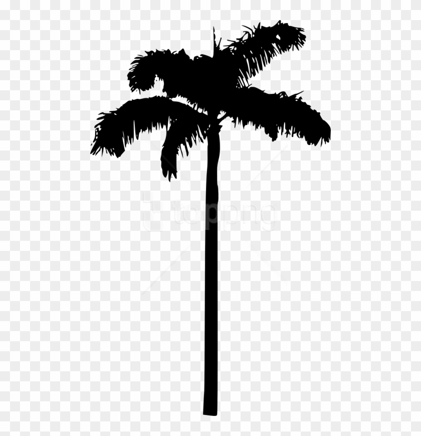 Free Png Palm Tree Png - Transparent Background Palm Tree Clipart Black #3014012