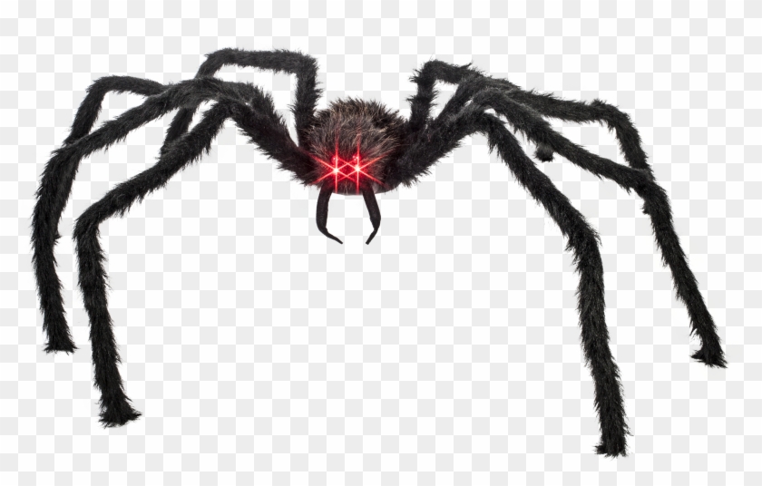 Drawn Spider Giant Aqua Spider - Black Spider Red Eyes Clipart #3014257