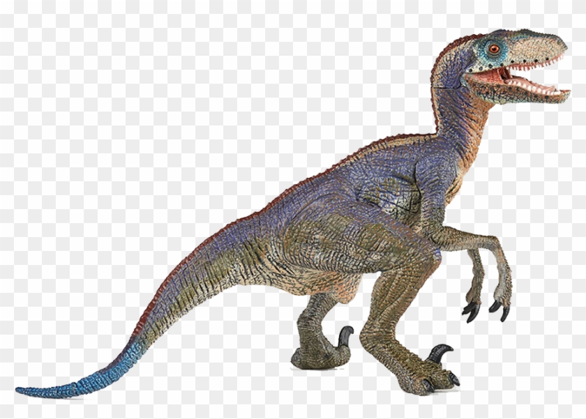 No Nut November Challenge Clipart #3014437